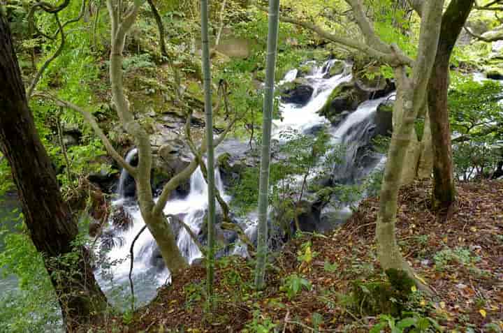 �U��E�V��������